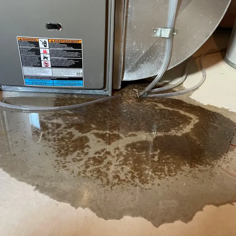 Appliance Leak Cleanup in Crystal City, TX